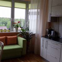 ספה ירוקה מול חלון המטבח