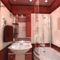 version af badeværelsets lyse stil i Khrushchev -billedet