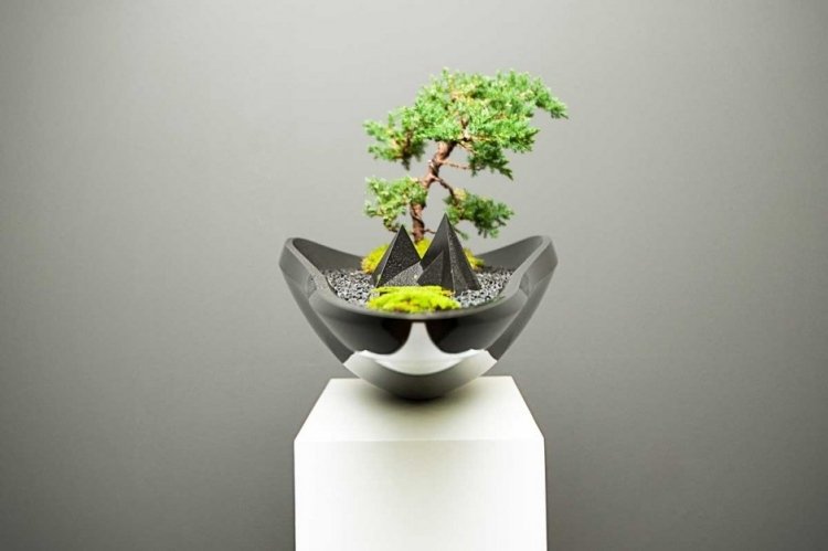 sort bonsai gryde moderne design form