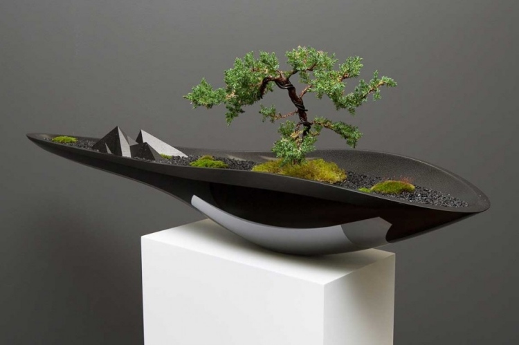 sort bonsai gryde moderne adrian-magu