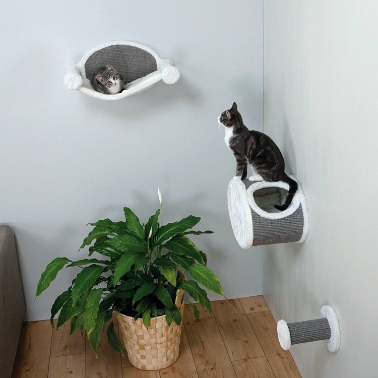 katte møbler trixie-væg-klatring-sjov-kæledyr-legeområde