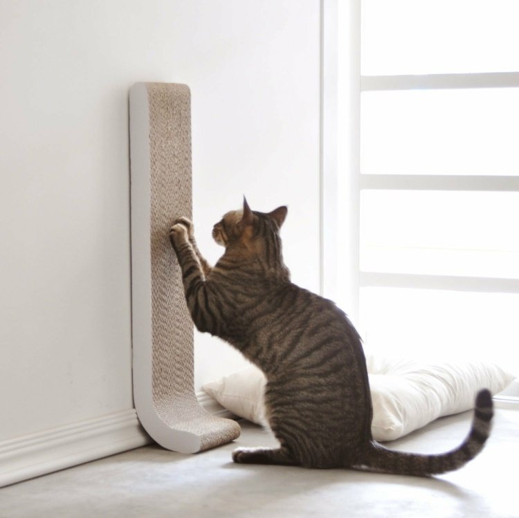 kat-møbler-kradse-bræt-moderne-væg-gulv