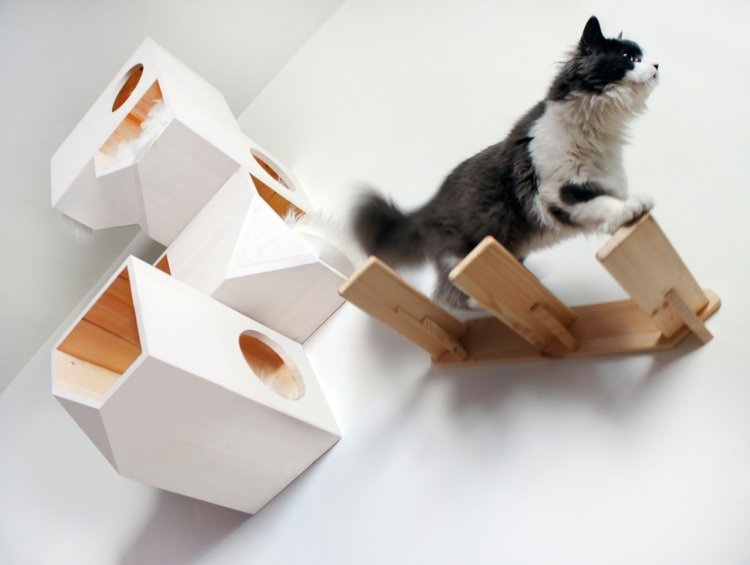 katte møbler ideer-køb-leg-skrabe-sove-klatre