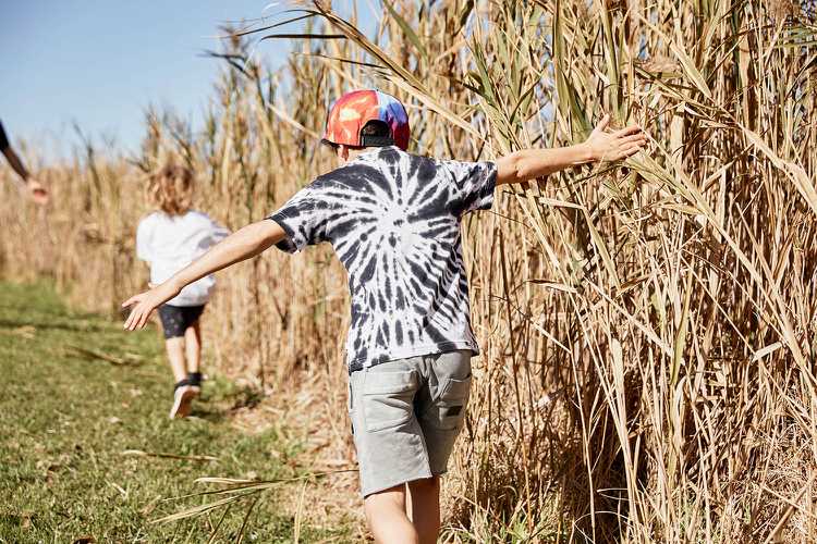 Børnemode sommer 2018 bukser t -shirt børn