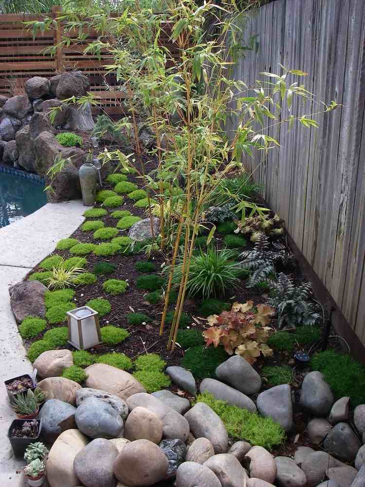 små japanske haveideer, der planter bambussten