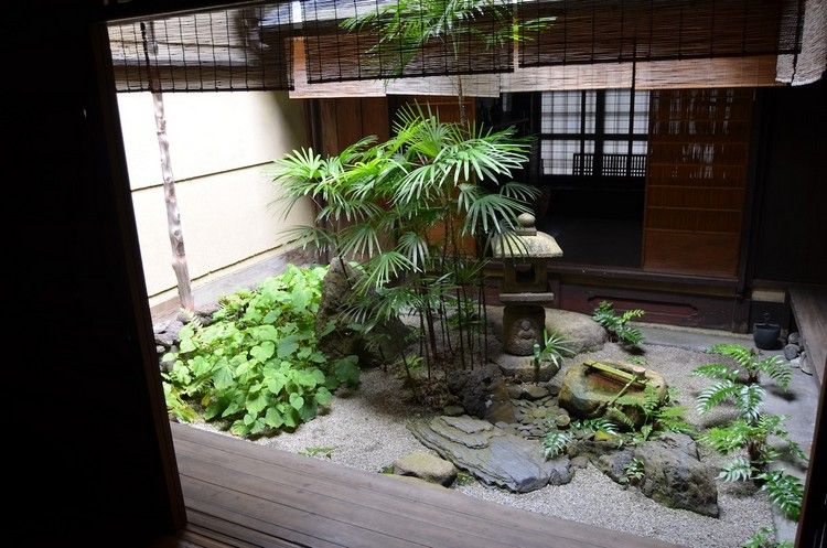gårdsplads små japanske haveplanter sten dekoration