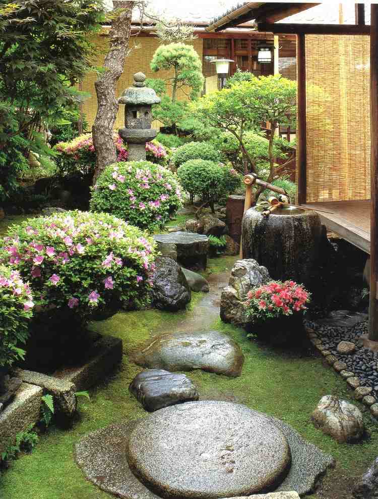 små japanske haveplanter azalea hække deco