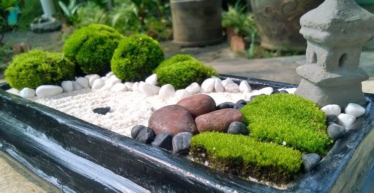 lav selv mini zen -have i japansk stil