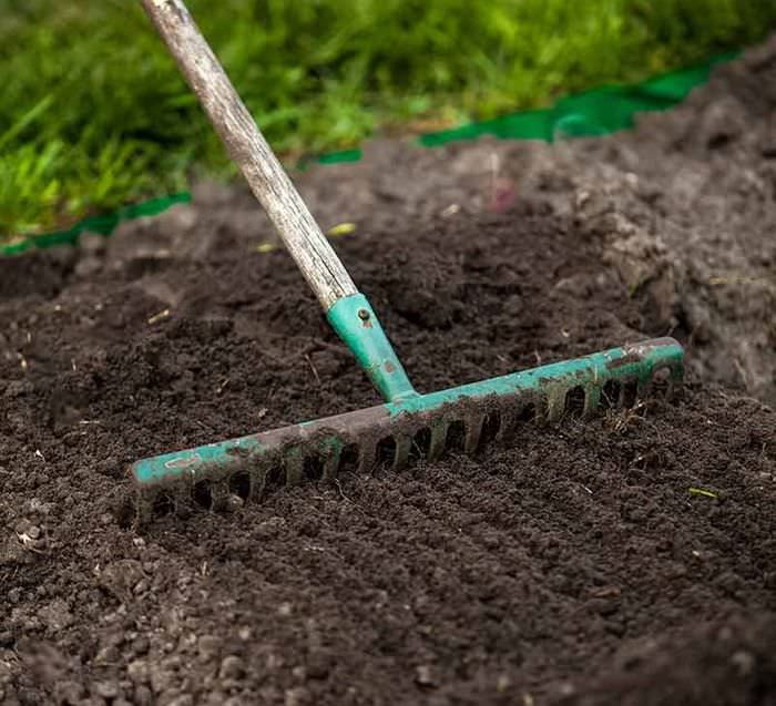 Jevning av bakken før du planter plenen