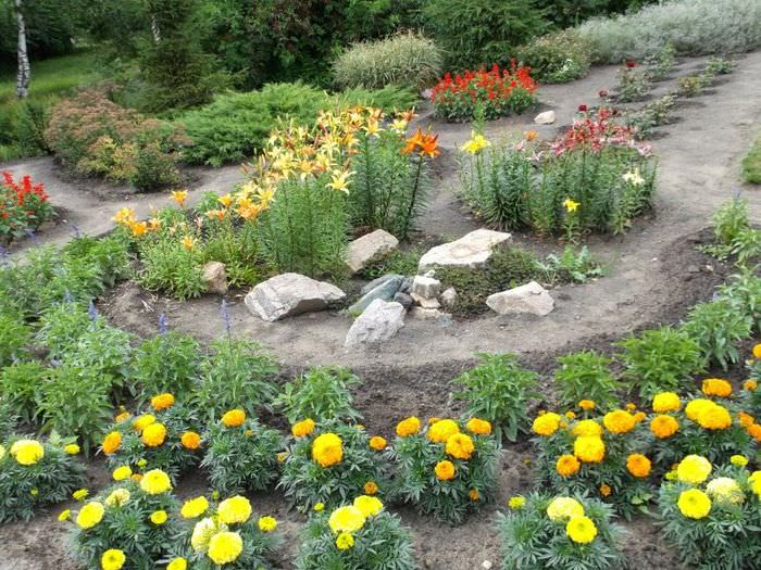Gjør-det-selv blomsterbed med ringblomster og liljer i hagen