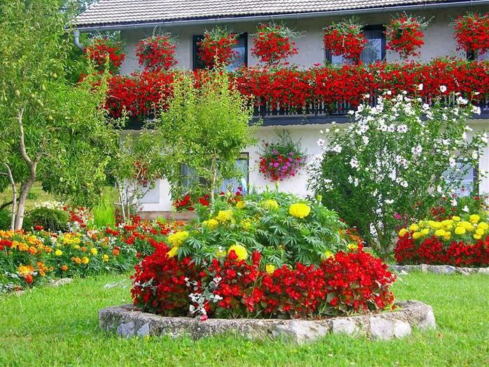 Hage blomsterbed med røde og gule blomster