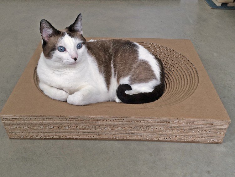 enkel seng til kat, der skraber møbler bølgepap