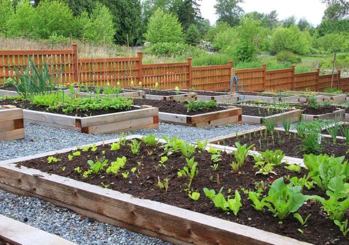 Ξύλινο κρεβάτι για καλλιέργεια λαχανικών στην πλαγιά του οικοπέδου