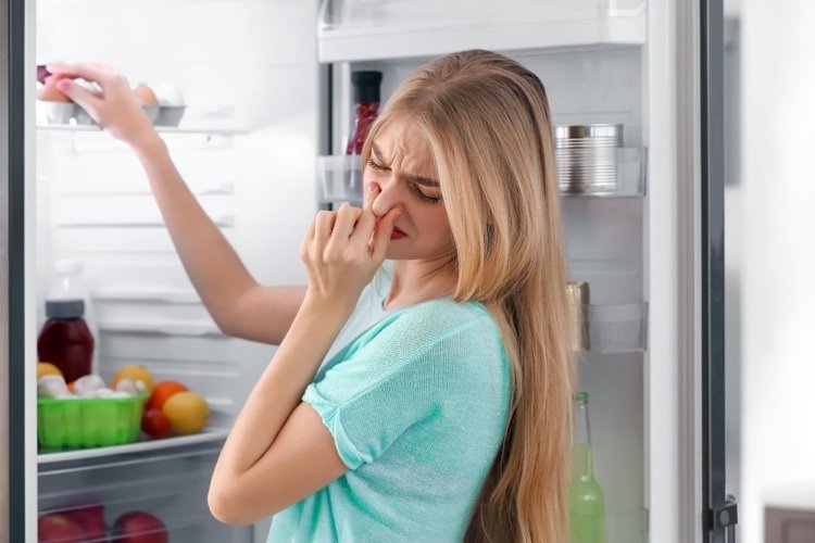 Opbevar æg i hvor lang tid i køleskabet i tilfælde af strømsvigt, og hvor længe i køleskabet i tilfælde af strømsvigt