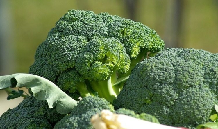 er broccoli god til leveren med fibre og masser af protein