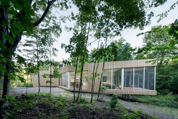 Minimalistisk levende -natur-moderne-hus-arkitektur-skov-landskab-omgivelser