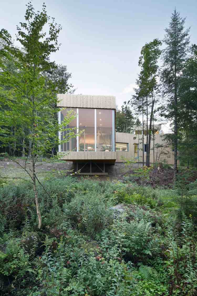 Minimalistisk levende -natur-moderne-hus-arkitektur-skov-panoramavindue-træ