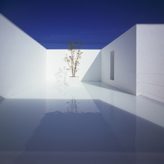 trendy minimalisme hus beton japansk arkitekt plante
