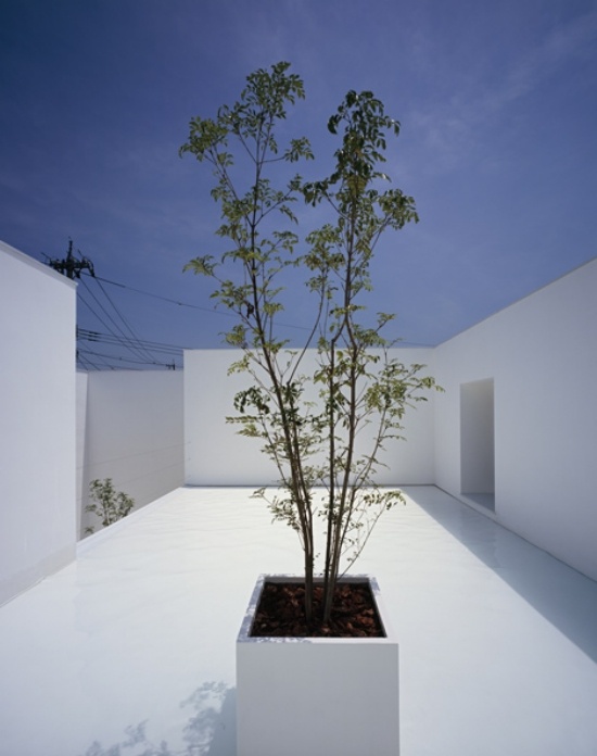 japansk arkitektur betonhus minimalistisk trendy lag gårdhave