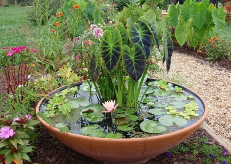 mini dam balkon have sti småsten skål terracotta blomster