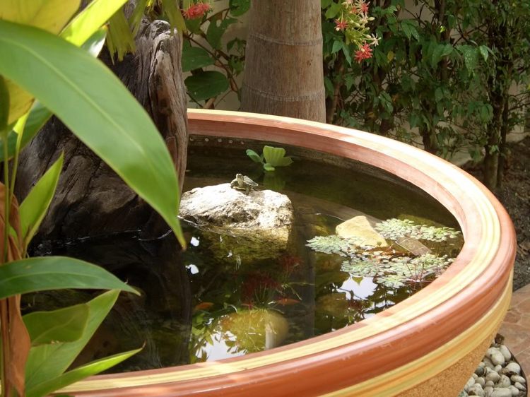 mini-dam-altan-vand-sten-skildpadde-planter-dekorative
