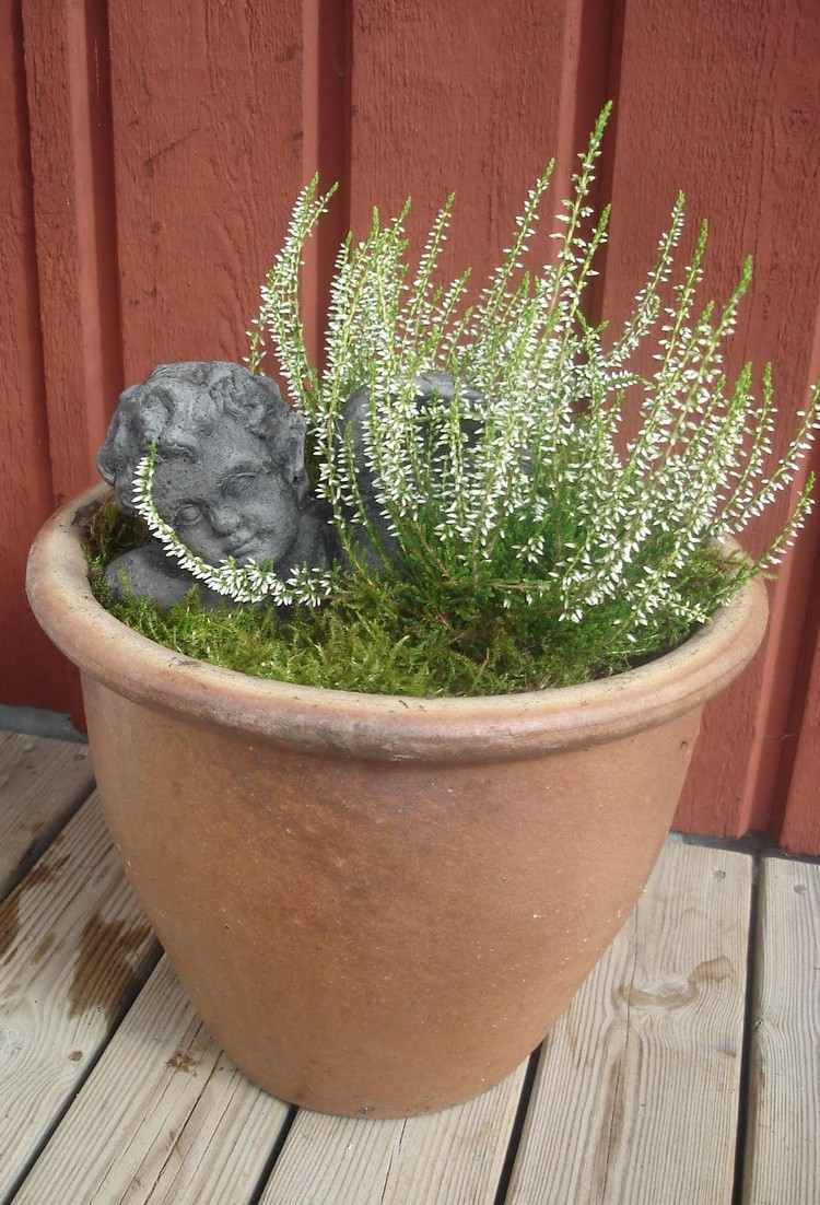 erika-lyng-efterår-deco-terrasse-weisse-lyng-sten-engel