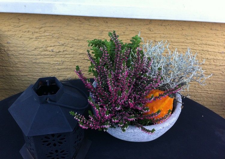 Erika Heidekraut efterår-deco-terrasse-sten skål-arrangement