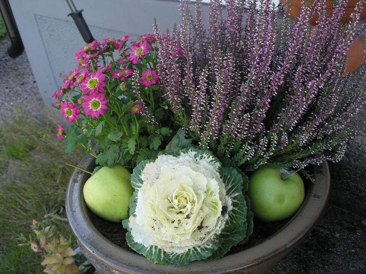 lyng-lyng-efterår-deco-terrasse-stor-planter-kål