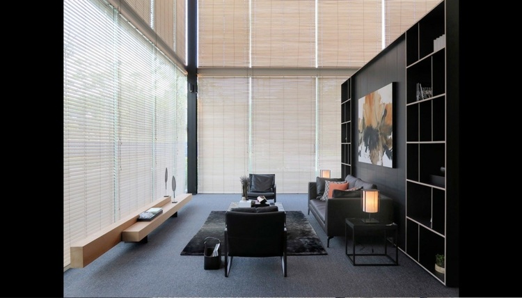 stue moderne hylde sort siddeplads gulvtæppe læder sofa persienner