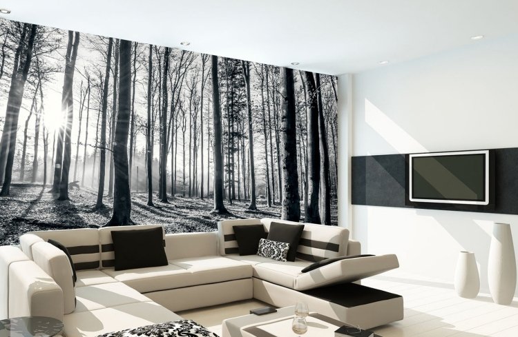 væg-design-sort-hvid-foto-tapet-sofa-beige-pude-tv