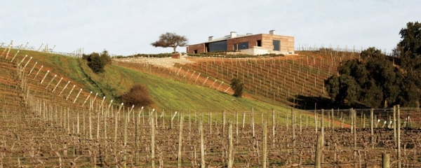 moderne vinsmagning hus vinmarker casablanca