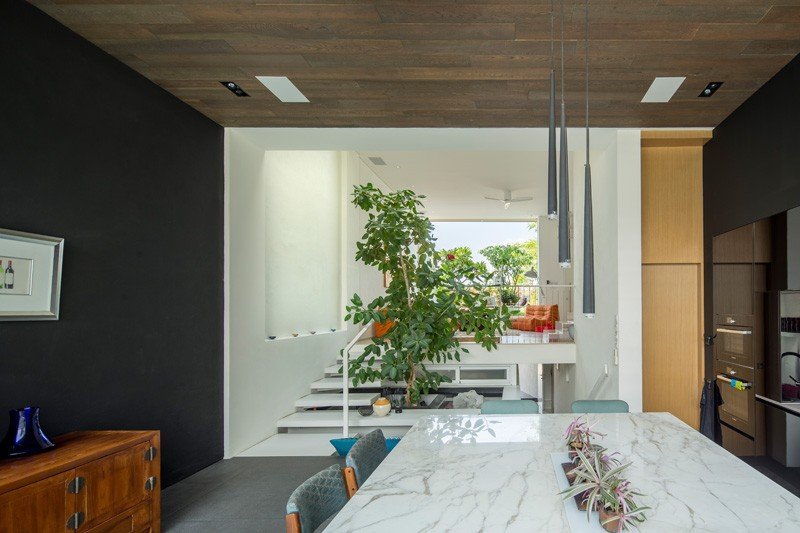 moderne-levende-åbne-stuer-spisestue-trapper-indendørs-have-træ