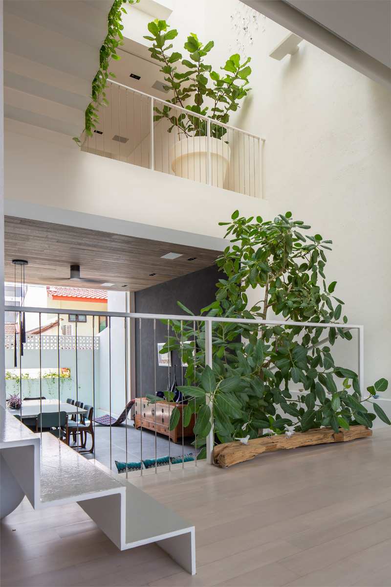 moderne-levende-åbne-stuer-værelser-indendørs-have-niveau-gulv