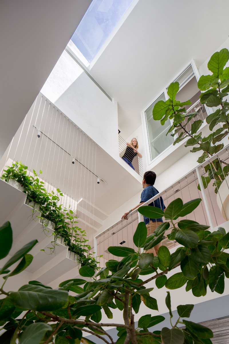 moderne-levende-åbne-stuer-indendørs-have-planter-trapper-figen-hvide
