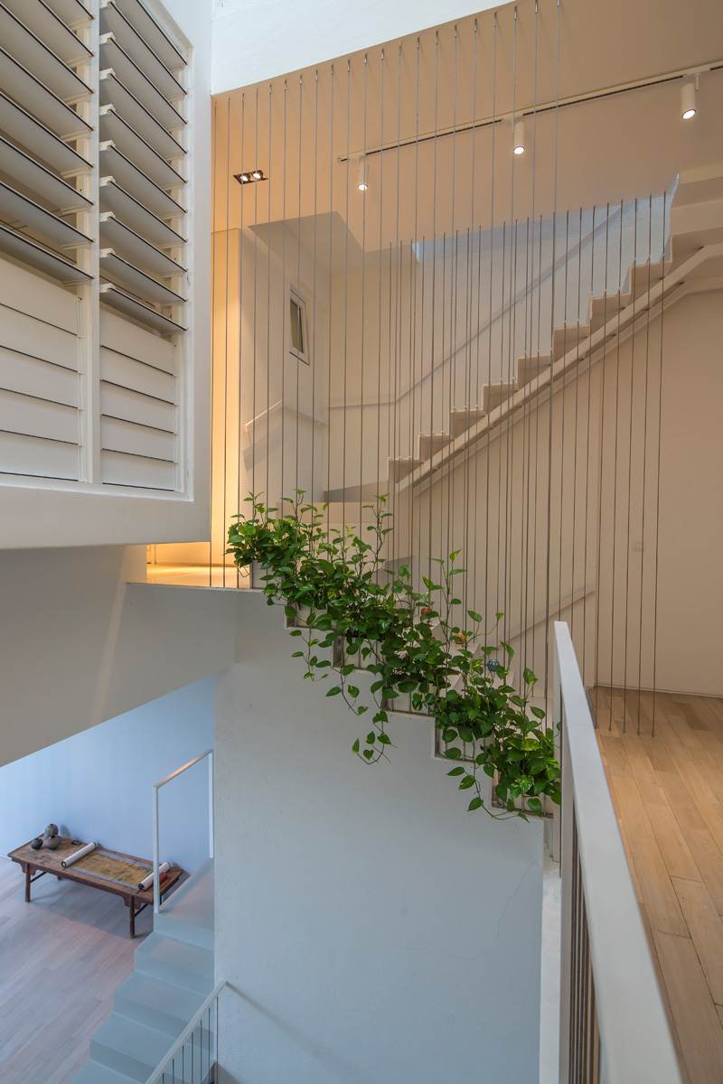 moderne-levende-åbne-stuer-værelser-planter-indendørs-have-trapper-niveau-gulv-belysning