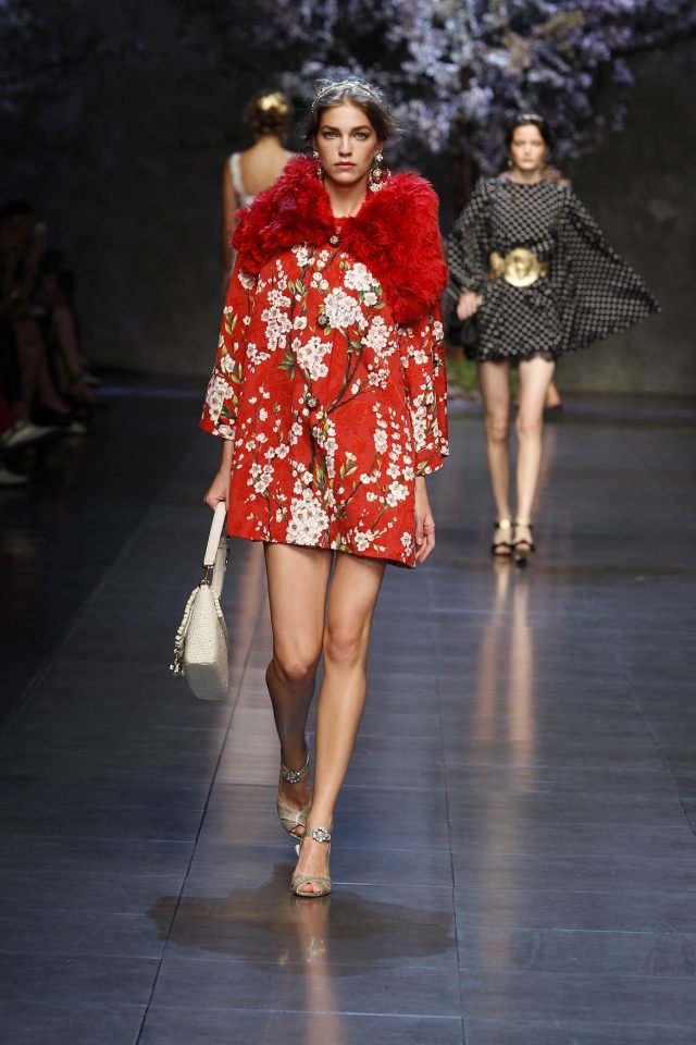 Fashion week-milano dolce og gabbana-modetrends 2014 økologisk læder rød pels