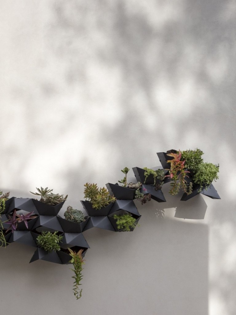 Plantemaskiner på ydervæggen bringer variation til moderne hængende haver med indfødte sukkulenter og planter
