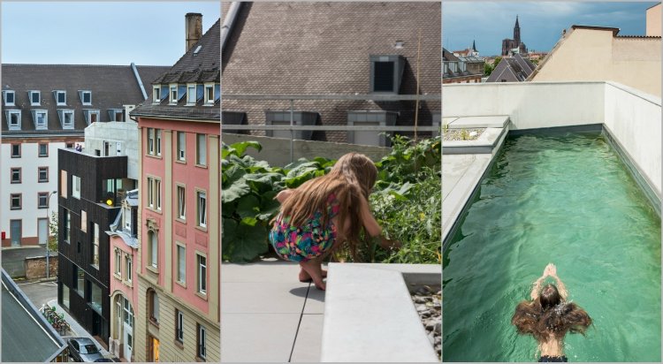 bæredygtig bygning lille område tagterrasse pool