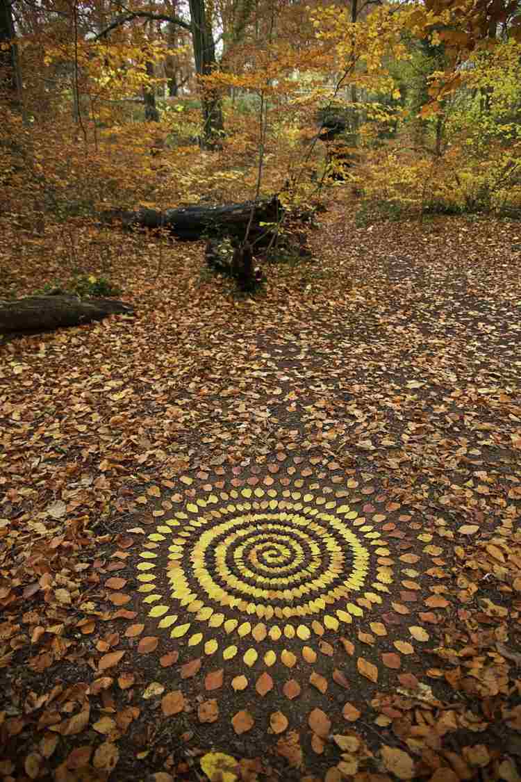 farverig natur mandalas efterårsblade skov james brunt