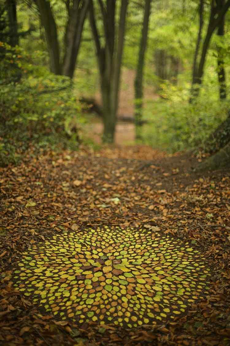 skovgrundmønster mandala kunstværk efterårsblade