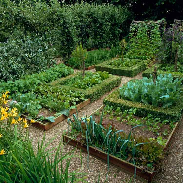Grøntsagshave opretter køkkenhave-idé-hævet seng-hæk-porre