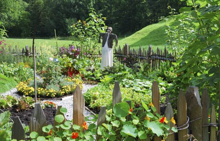 oprette-køkken-have-fugleskræmsel-romantisk-have-design-sund-ernæring