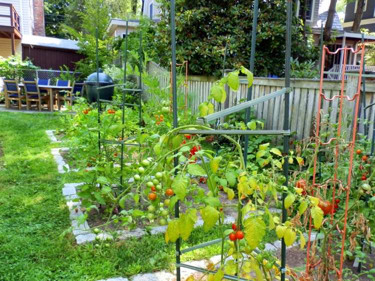 Opret-køkken-have-belægningssten-tomater-klatring-planter-træ