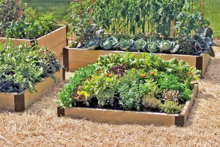 Opret-grøntsags-have-senge-plan-tips-hø-gulve