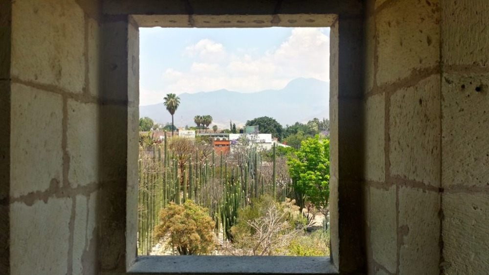 udsigt fra vinduet til den etnobotaniske have med kaktusser i oaxaca mexico