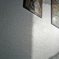Glasfiber för målning på väggen i vardagsrummet