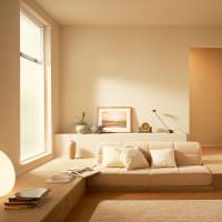 Stue dekorasjon i stil med minimalisme