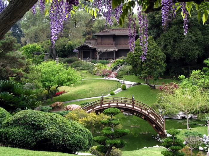 סגנון יפני בגן מטופח