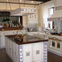 Option einer hellen Küche im rustikalen Stil Foto