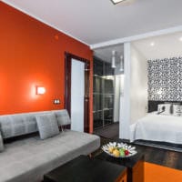 proiectarea unui apartament cu o cameră de 45 mp interior